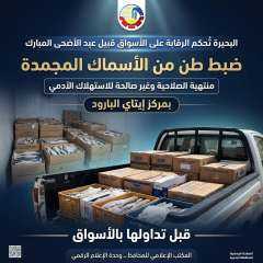 ضبط طن من الأسماك المجمدة منتهية الصلاحية وغير صالحة للإستهلاك الآدمي قبل تداولها بالأسواق بمركز إيتاي البارود