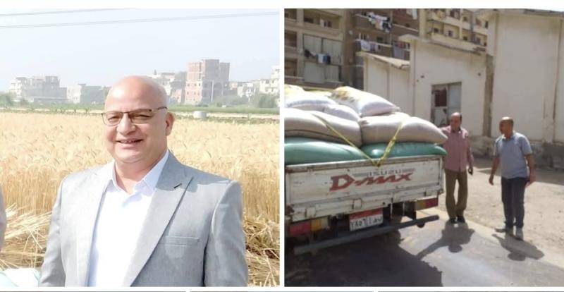 إدارة التسويق بمديرية الزراعة بالبحيرة تتابع عملية توريد محصول القمح بالشون والصوامع