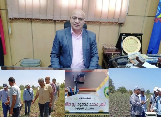 المرور على زراعات القطن والذرة بمركز دمنهور