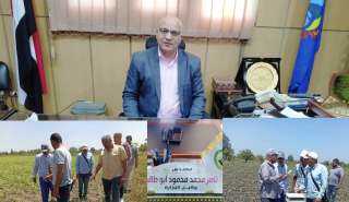 المرور على زراعات القطن والذرة بمركز دمنهور