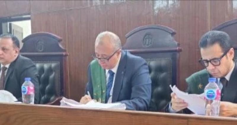 جنايات سوهاج :إحالة أوراق متهمة وعشيقها للمفتى لاتهامهما بقتل زوجها صعقا بالكهرباء
