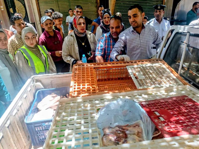 هياكل مجمدة.... حي شرق سوهاج يشن حملة مكبرة لضبط الأسواق ومصادرة 128 كيلو من الدواجن غير الصالحة للاستهلاك