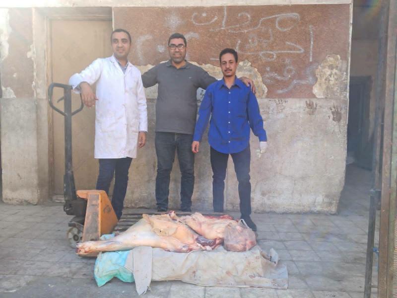 ضبط 55 كيلو لحوم ”فاسدة” بها جنين 40 يوم ومتعفنه ومذبوحة خارج المجازر في حملة مكبرة ببندار الكرمانية بسوهاج