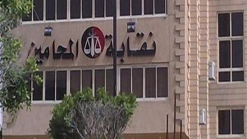نقابة محامي سوهاج.. وقف محامية عن مزاولة المهنة وإحالتها للتأديب