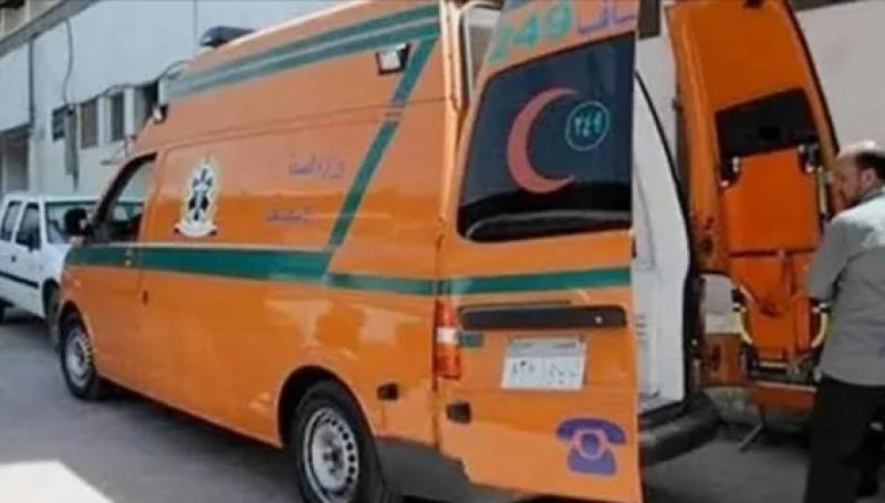 مصرع طفل 4 سنوات إثر سقوط عمود بلوك عليه داخل حوش منزل بنجوع برديس بالبلينا