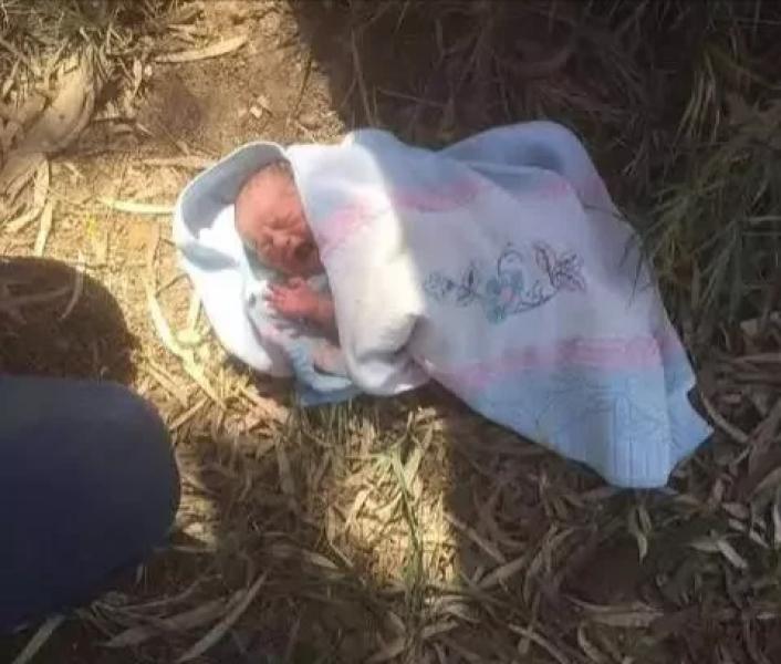 العثور على جثة طفل رضيع مجهول الهوية بقرية الزواتنة القبلية بجرجا