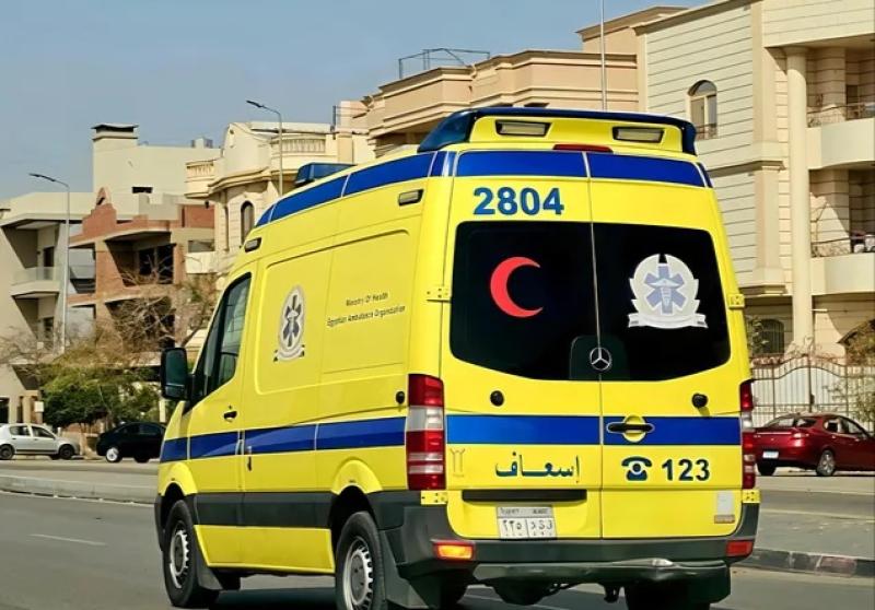 إصابة شخص بطلق ناري في مشاجرة بمركز جرجا