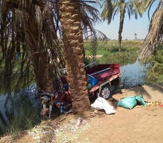 إصابة أب وأبنائه الثلاثة في حادث تروسيكل دخل في شجرة بقرية تونس في سوهاج